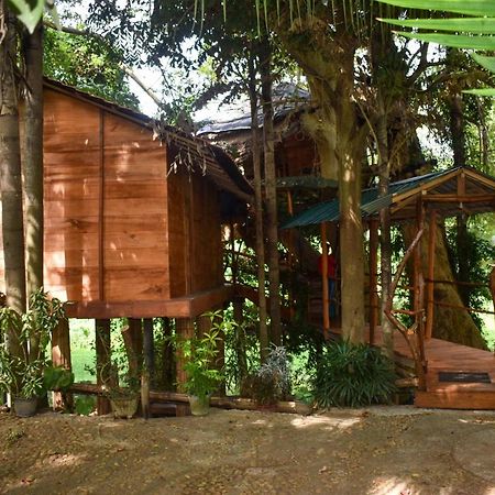 Kumbuk Tree House Villa ทิซซามาฮารามา ภายนอก รูปภาพ