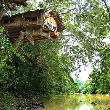 Kumbuk Tree House Villa ทิซซามาฮารามา ภายนอก รูปภาพ