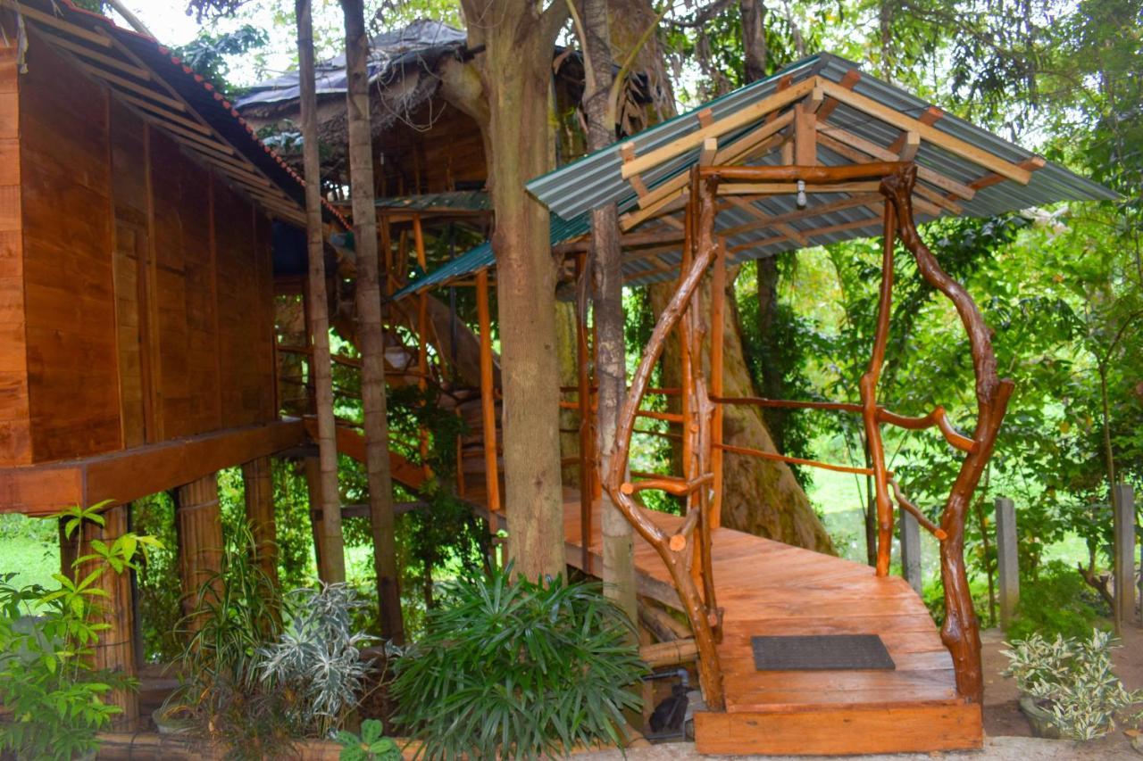 Kumbuk Tree House Villa ทิซซามาฮารามา ภายนอก รูปภาพ