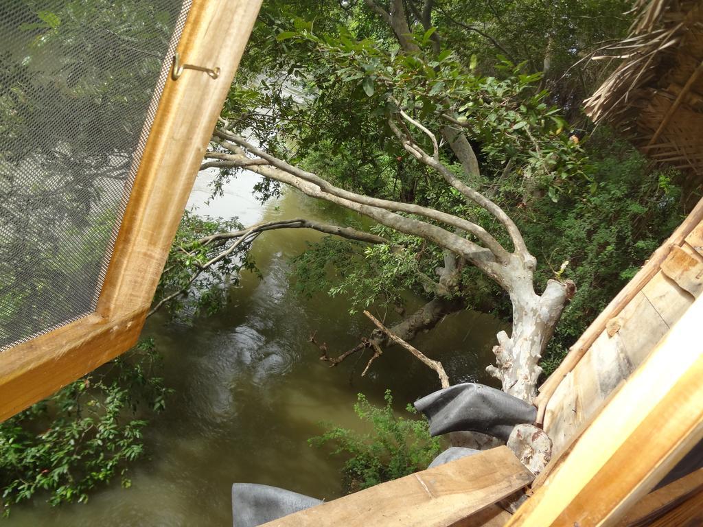 Kumbuk Tree House Villa ทิซซามาฮารามา ภายนอก รูปภาพ