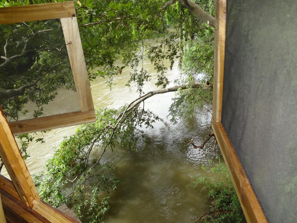 Kumbuk Tree House Villa ทิซซามาฮารามา ภายนอก รูปภาพ