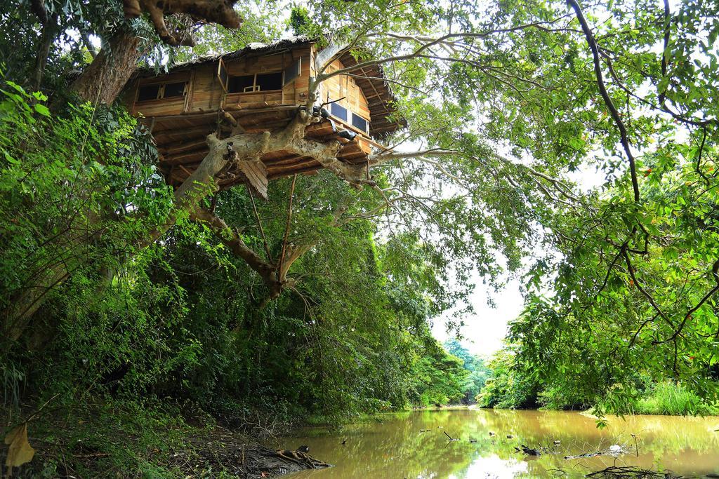 Kumbuk Tree House Villa ทิซซามาฮารามา ภายนอก รูปภาพ