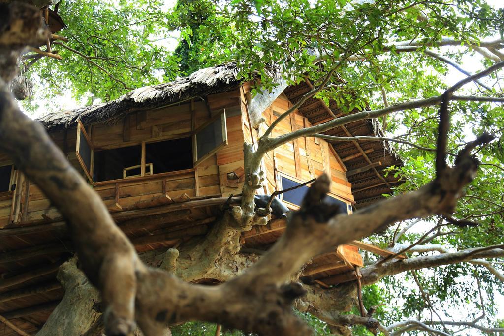 Kumbuk Tree House Villa ทิซซามาฮารามา ภายนอก รูปภาพ