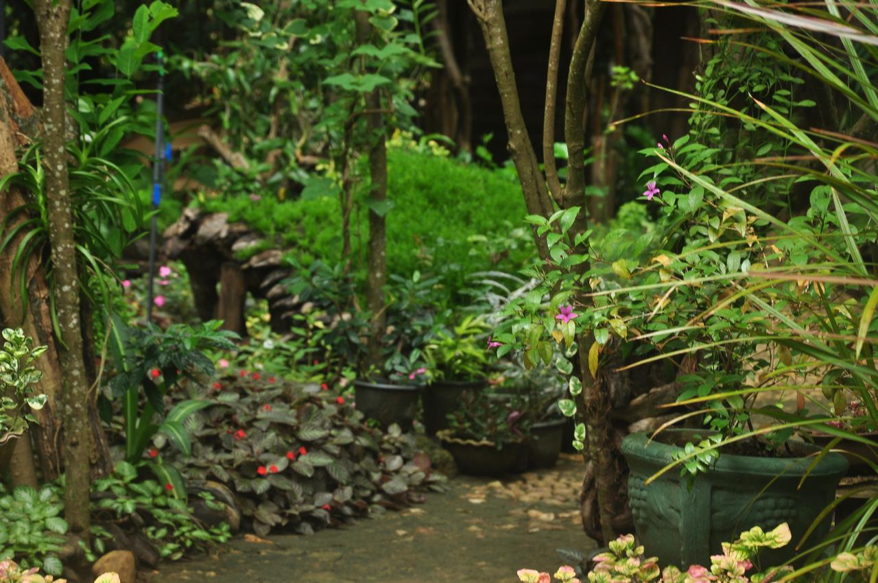 Kumbuk Tree House Villa ทิซซามาฮารามา ภายนอก รูปภาพ