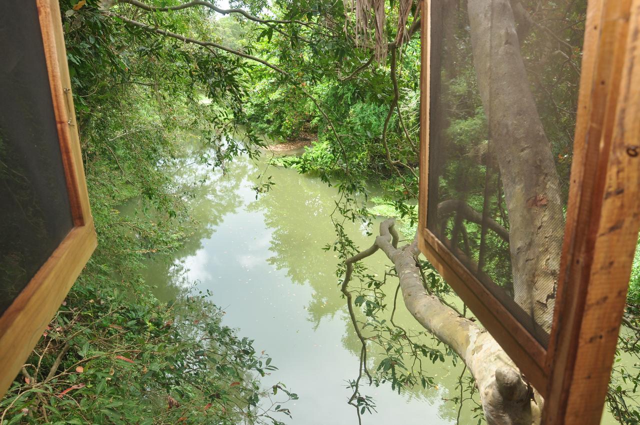 Kumbuk Tree House Villa ทิซซามาฮารามา ภายนอก รูปภาพ